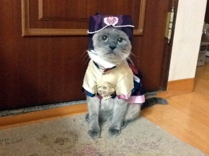 [오늘은 사랑이의 15살 생일입니다] (스압주)_63.jpg