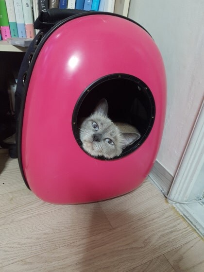 [오늘은 사랑이의 15살 생일입니다] (스압주)_85.jpg