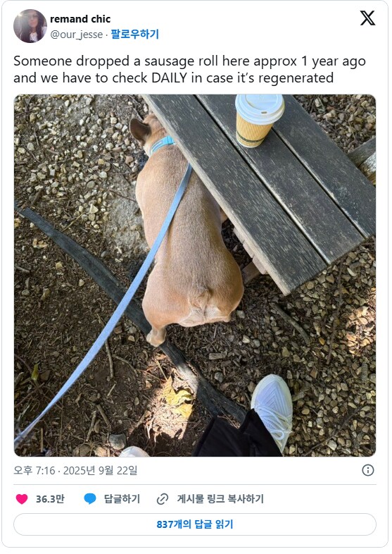 강아지 산책 루틴에 벤치 아래가 들어가게 된 이유.JPG_1.png