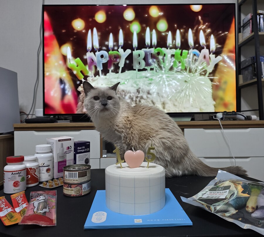 [사랑이 생일 기념 사진]_2.jpg