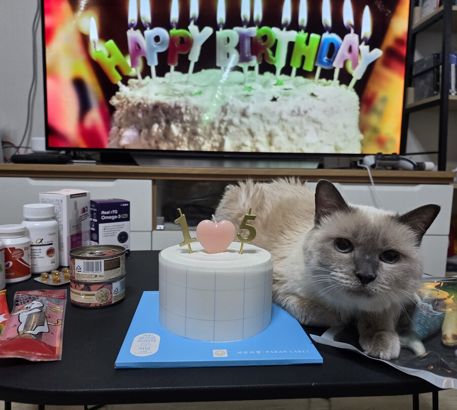 [사랑이 생일 기념 사진]_3.jpg