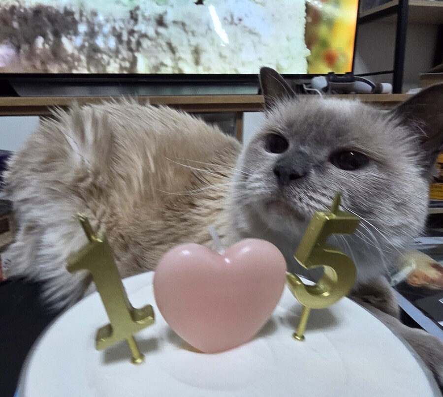 [사랑이 생일 기념 사진]_6.jpg