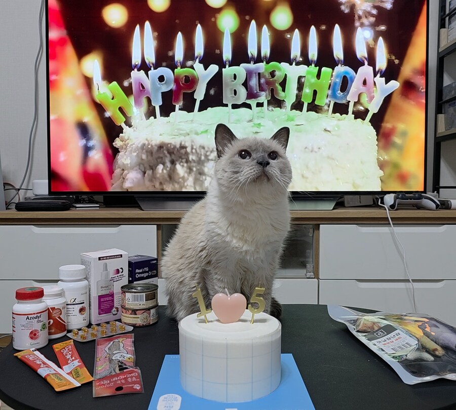 [사랑이 생일 기념 사진]_10.jpg