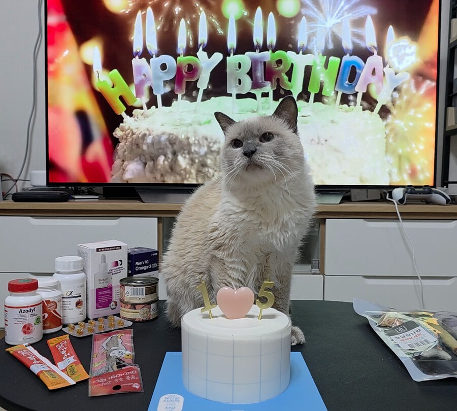 [사랑이 생일 기념 사진]_13.jpg