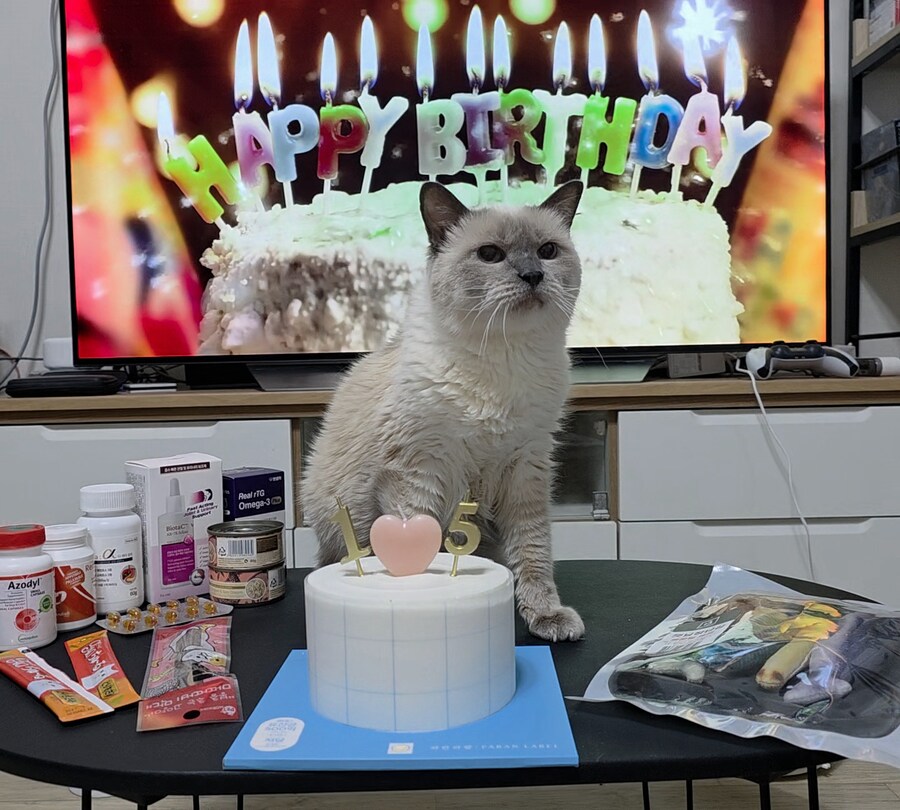 [사랑이 생일 기념 사진]_16.jpg