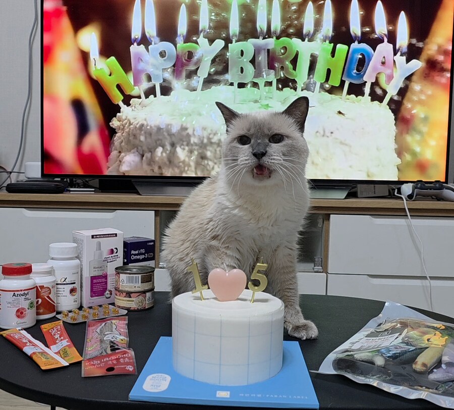 [사랑이 생일 기념 사진]_19.jpg