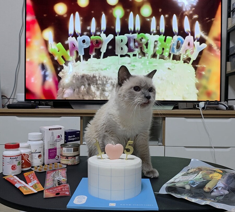 [사랑이 생일 기념 사진]_23.jpg