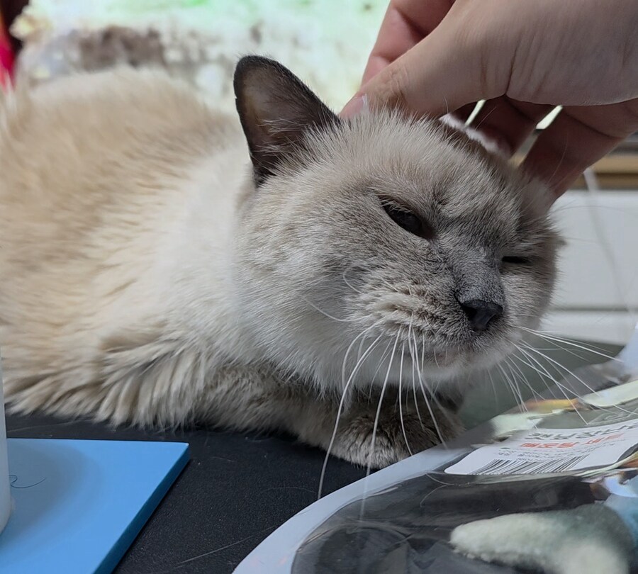 [사랑이 생일 기념 사진]_26.jpg