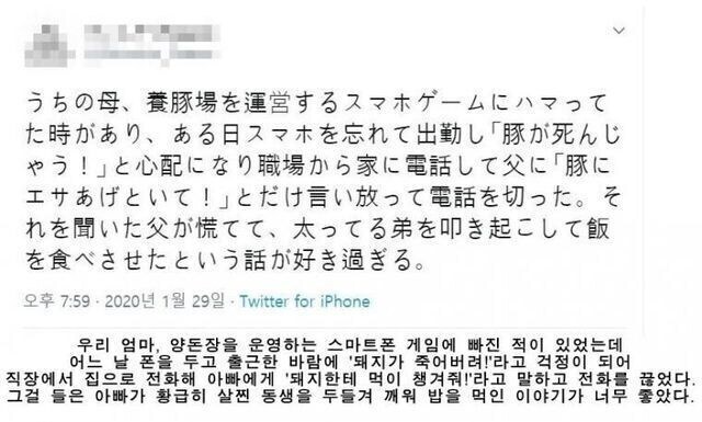 돼지 살리는 아버지.jpg_1.jpg