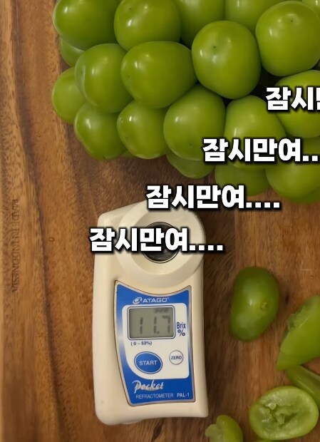 요즘 샤인 머스켓 당도 근황.jpg_10.png