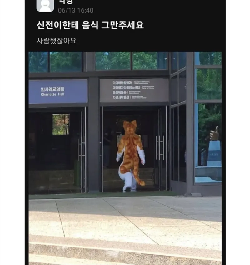 길냥이 확대 대참사_2.webp