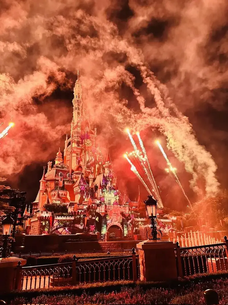 디즈니랜드에서 불꽃놀이를 찍은 관광객.jpg_2.webp