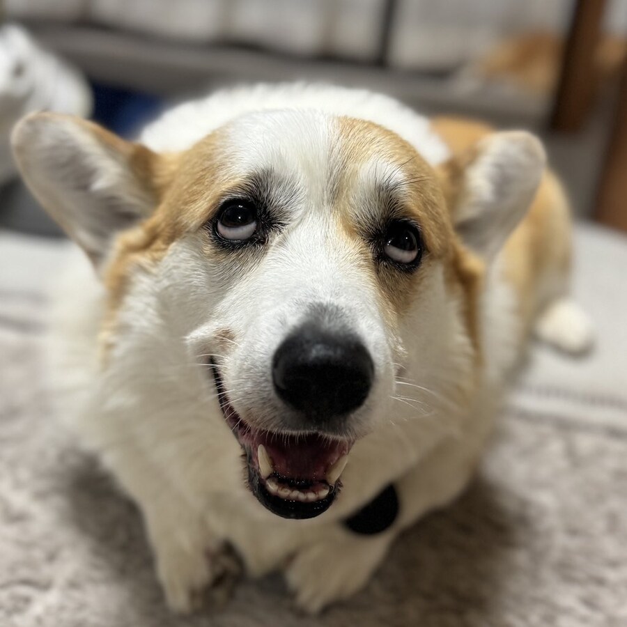 크헤헤 바보같은 인간_1.jpg