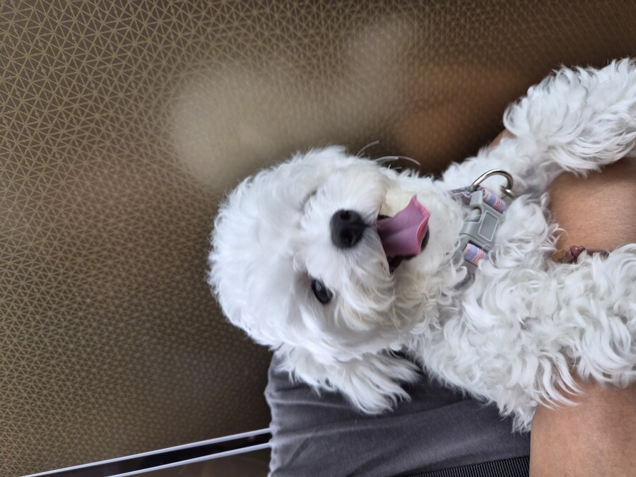 오오 반려동물 갤러리 처음입니다._2.jpg