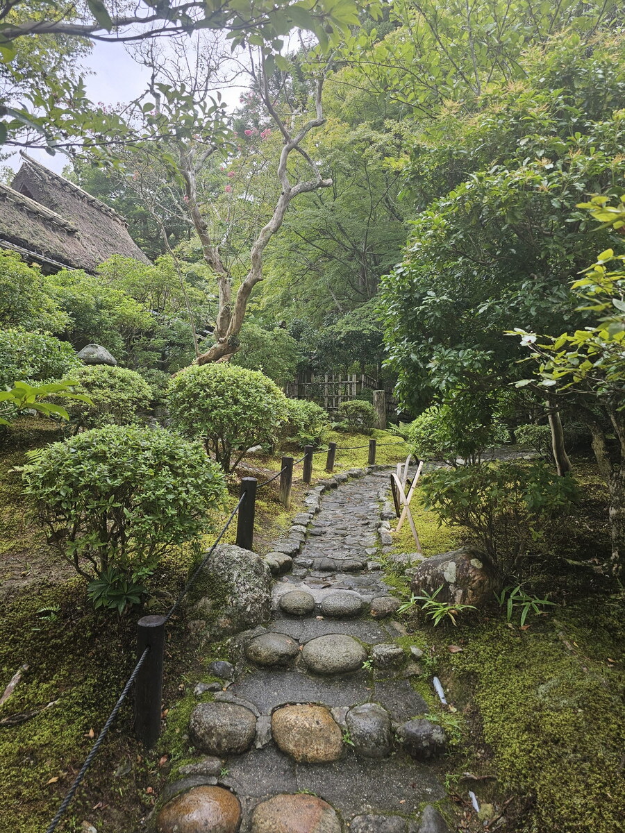 오사카-칸사이 부모님 모시고 효도 여행 1일차 - 도톤보리/나라공원/하루카스300_47.jpg