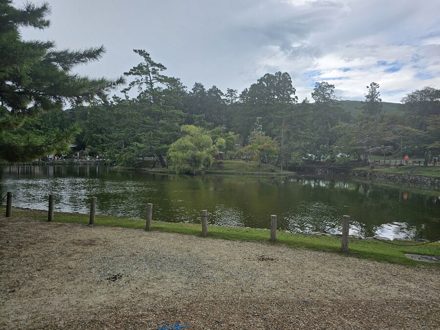 오사카-칸사이 부모님 모시고 효도 여행 1일차 - 도톤보리/나라공원/하루카스300_55.jpg