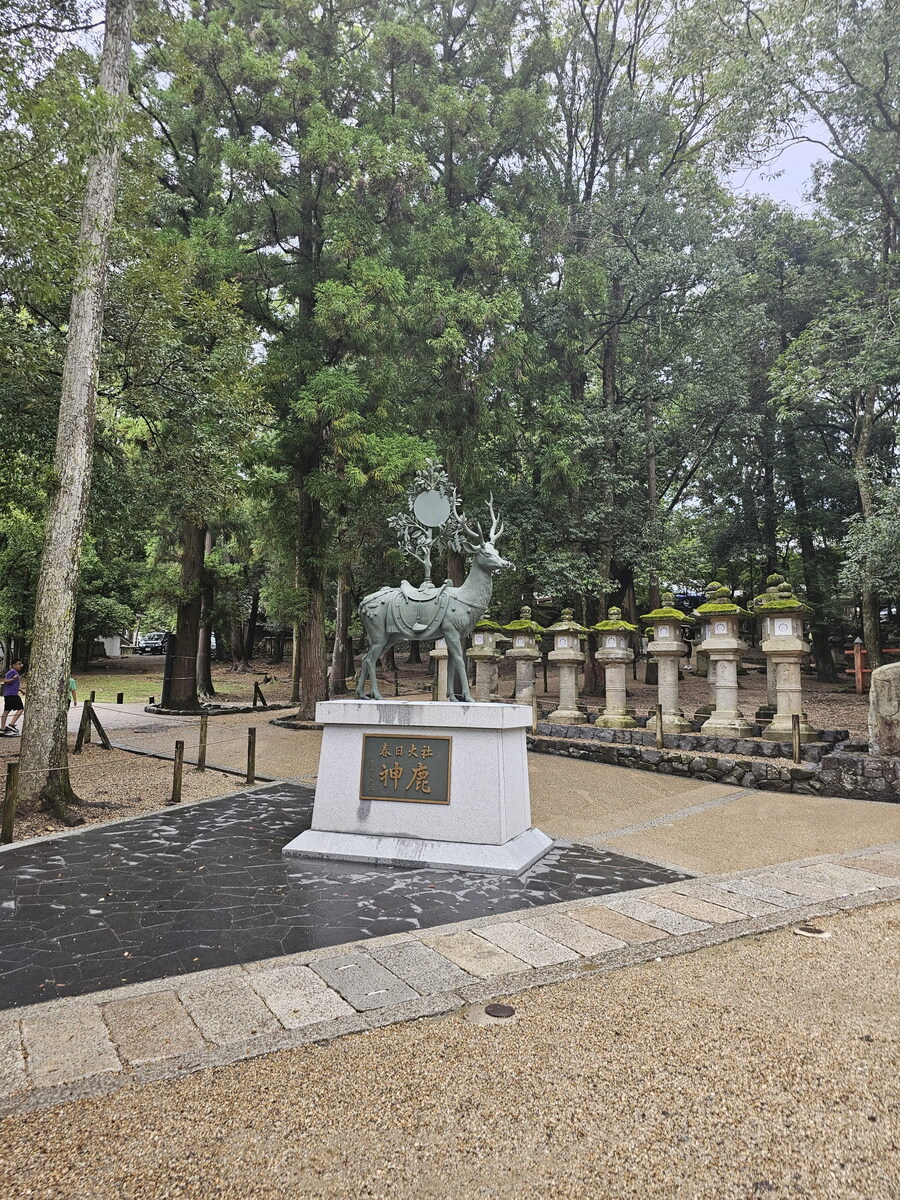 오사카-칸사이 부모님 모시고 효도 여행 1일차 - 도톤보리/나라공원/하루카스300_73.jpg