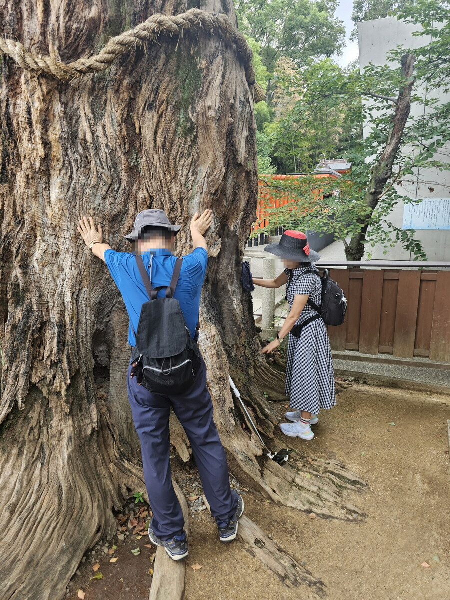 오사카-칸사이 부모님 모시고 효도 여행 2일차 - 고베/히메지_63.jpg