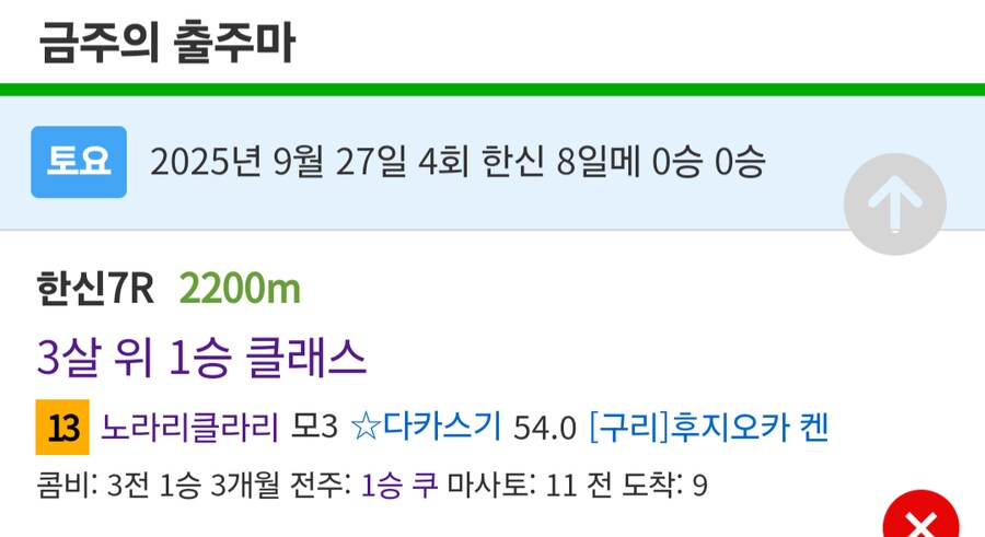 경마, 말딸) 이번주 봇치 산구 성적(......)_1.png