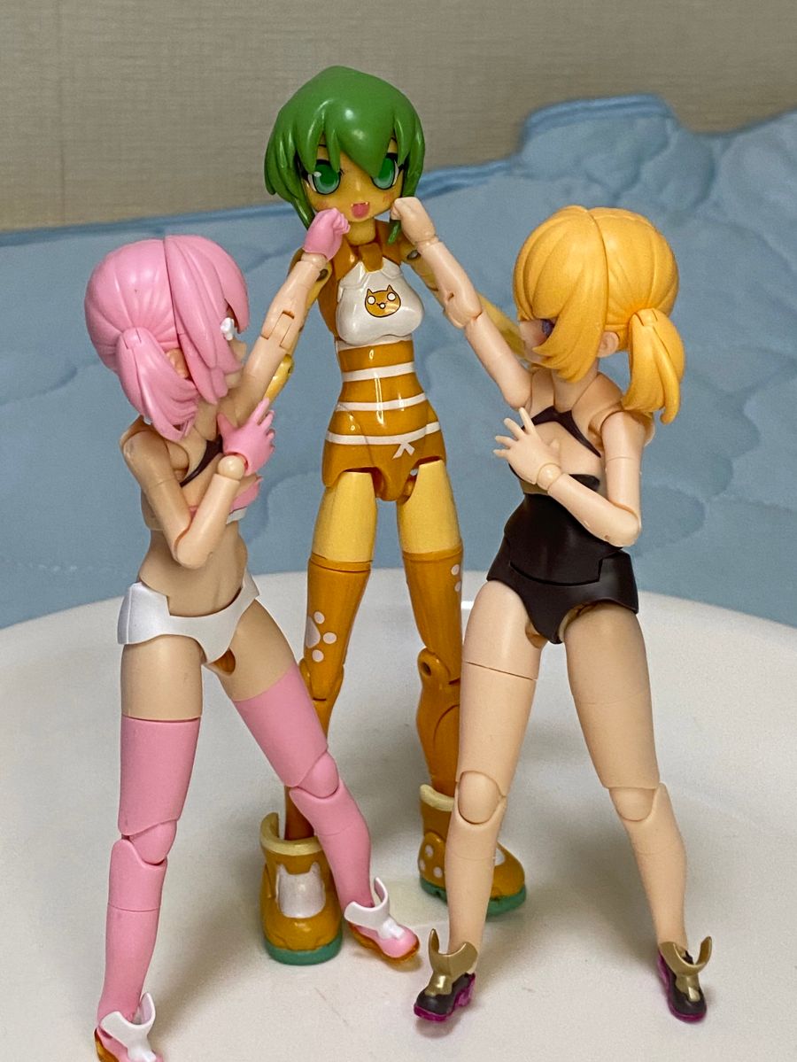 [코토부키야] PUNI☆MOFU 쿠로마오 가조립 + 노멀 마오 나열 사진_4.jpg