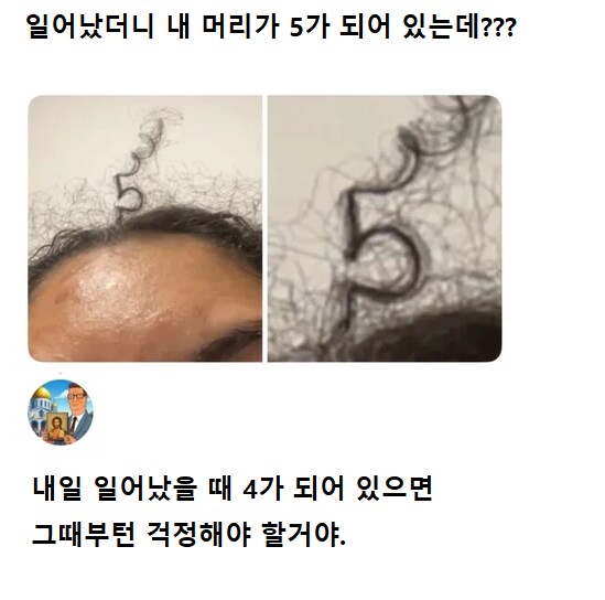 일어났더니 내 머리가 5가 되어 있는데?_1.png
