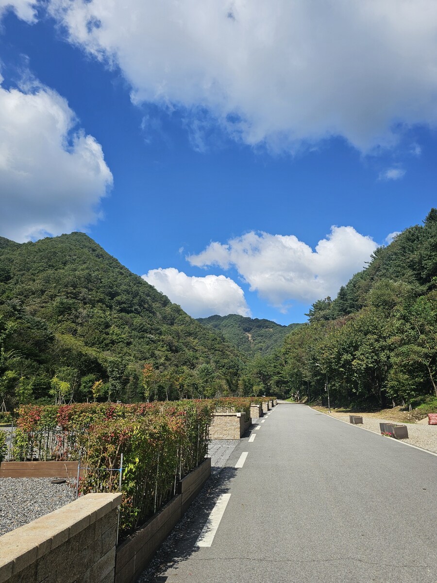 캠핑) 난 캠핑가서 많이 안먹게되네.._1.jpg