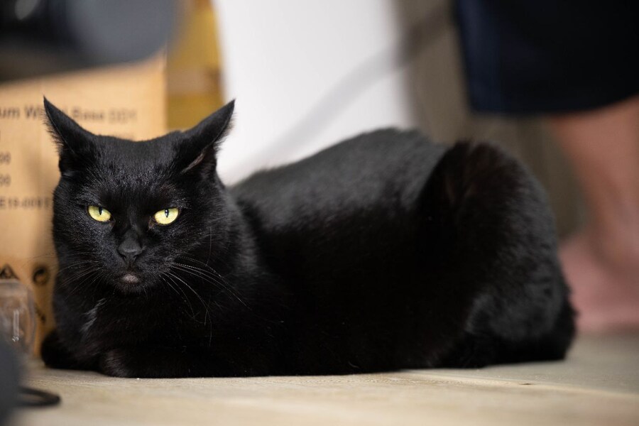 야밤에 신기한걸 보여드림 몇분 걸림_1.jpg