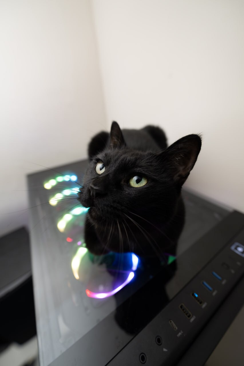 야밤에 신기한걸 보여드림 몇분 걸림_3.jpg