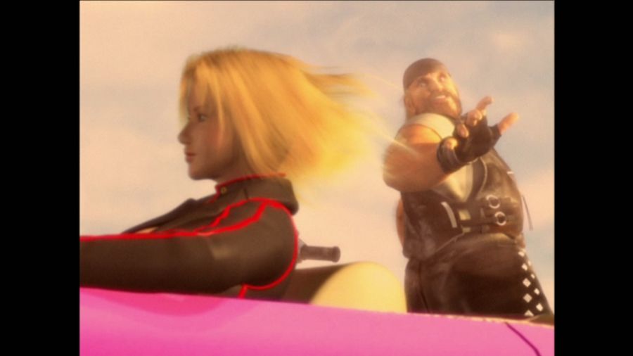 DEAD OR ALIVE 3_48.jpg