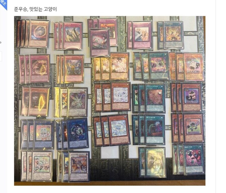 가끔 중국덱 검색하다 번역기 자동반역보면 재밌는게 있군요_2.jpg