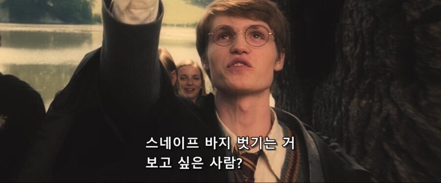 해리포터)대놓고 호불호 갈리는 관계_2.jpg