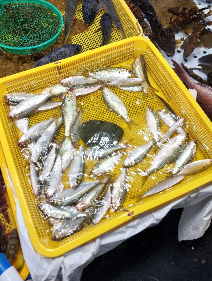 제철 가을전어 한상_1.jpg