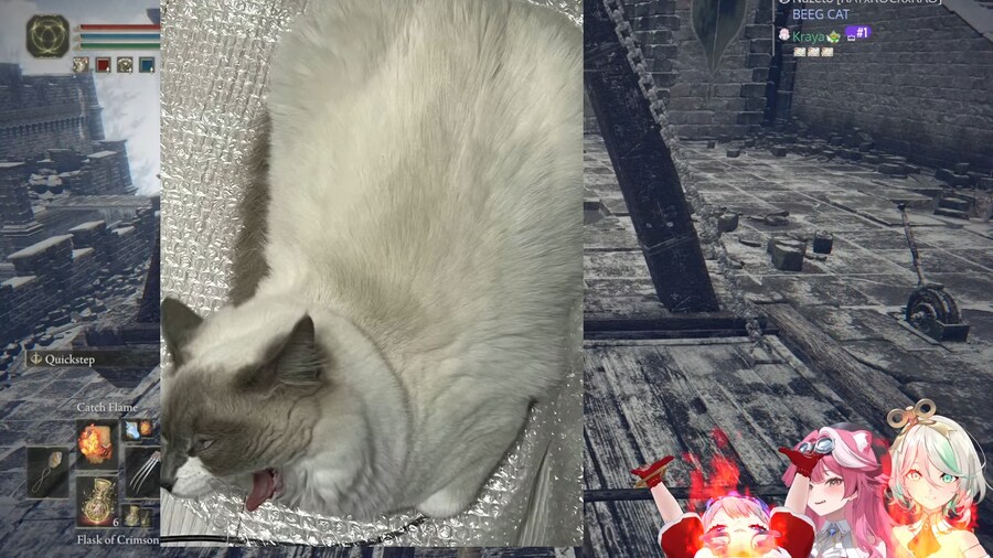 버튜버) 비부네 존캣 많이 컸구나_1.png