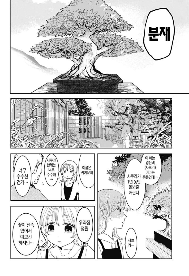 사쿠라의 정원 만화 .manhwa_6.jpg