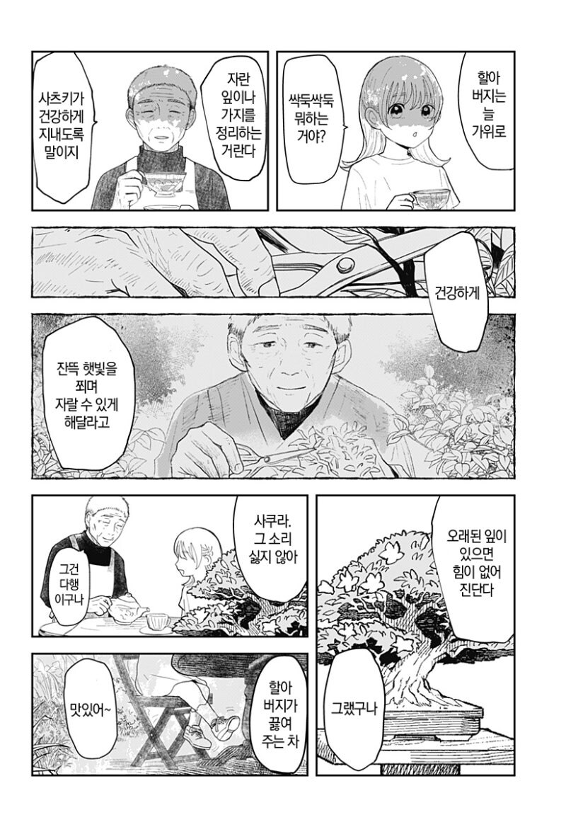 사쿠라의 정원 만화 .manhwa_18.jpg