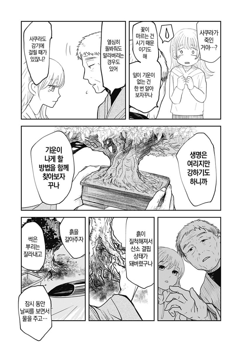 사쿠라의 정원 만화 .manhwa_34.jpg
