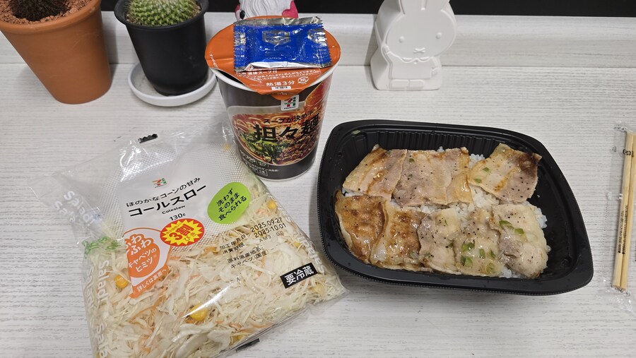 자전거 종주)22일차 가시와자키 도착 마무리_15.jpg