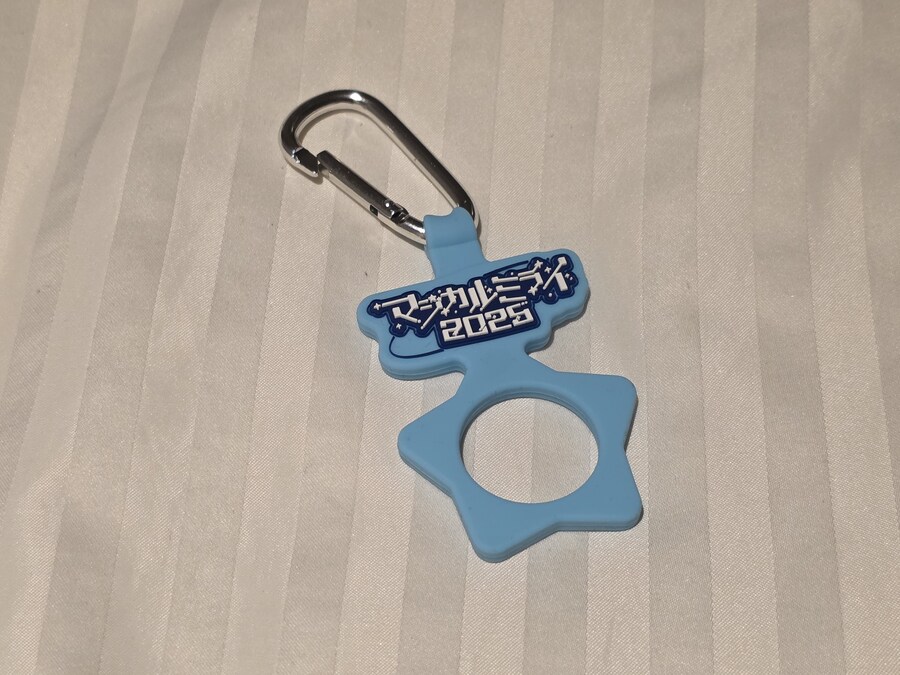 미쿠)매지컬 미라이 2025 도쿄 2일차_88.jpg