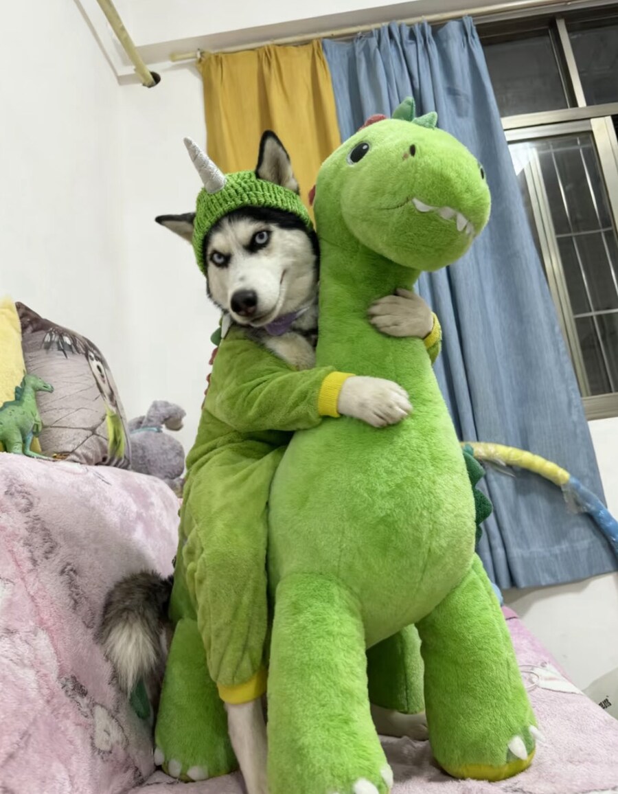유니콘_1.jpg