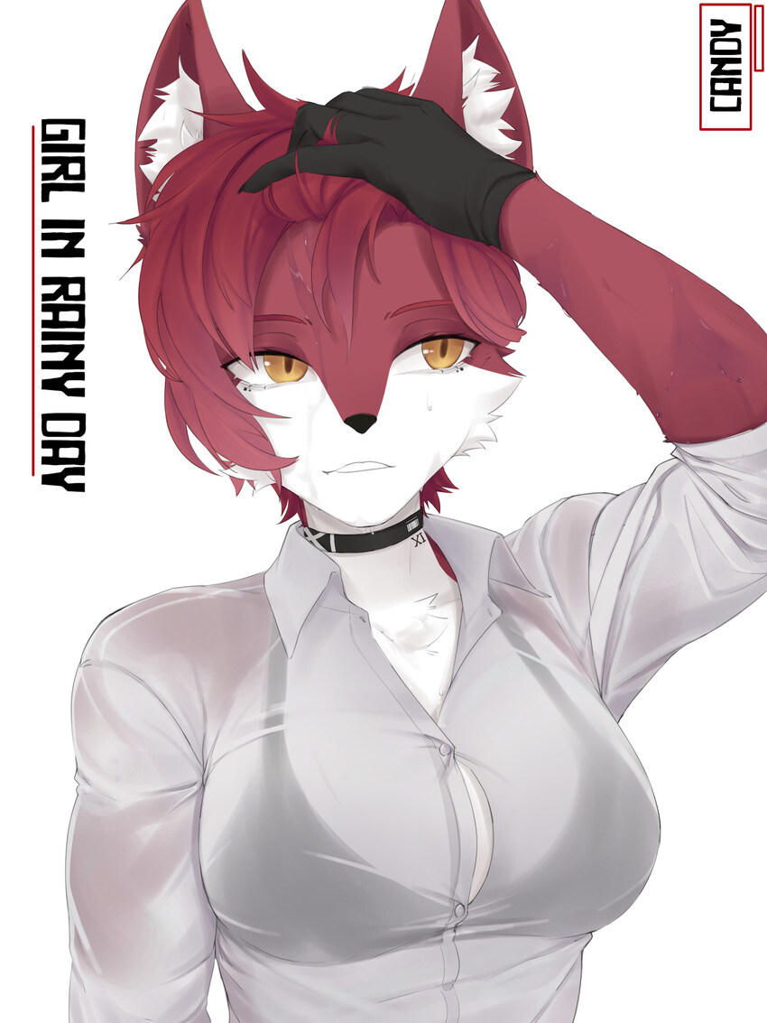 퍼리_3.jpg
