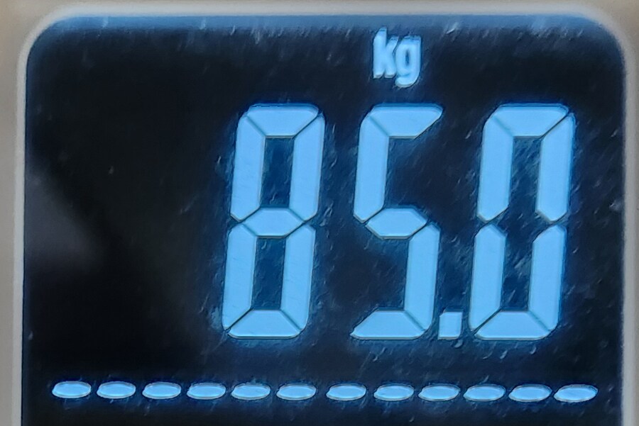 으른양 다이어트 94일차 -끝-_4.png