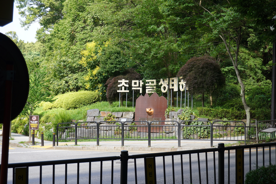 7월, 초막골생태공원과 왕송호수 탐조_1.webp