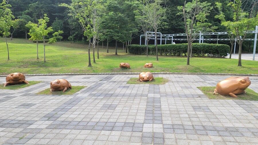 7월, 초막골생태공원과 왕송호수 탐조_3.jpg