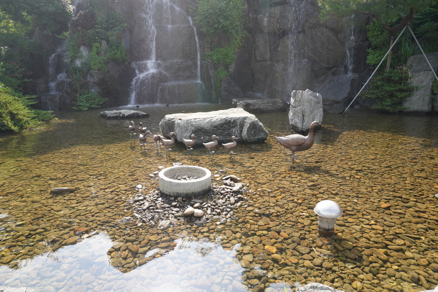 7월, 초막골생태공원과 왕송호수 탐조_6.webp