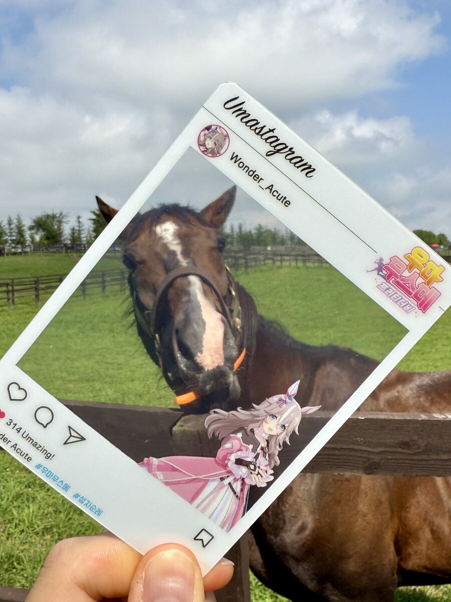 경마) / 말딸) 할무이를 더 가까이에서! 원더 어큐트 그리팅 후기_6.jpg