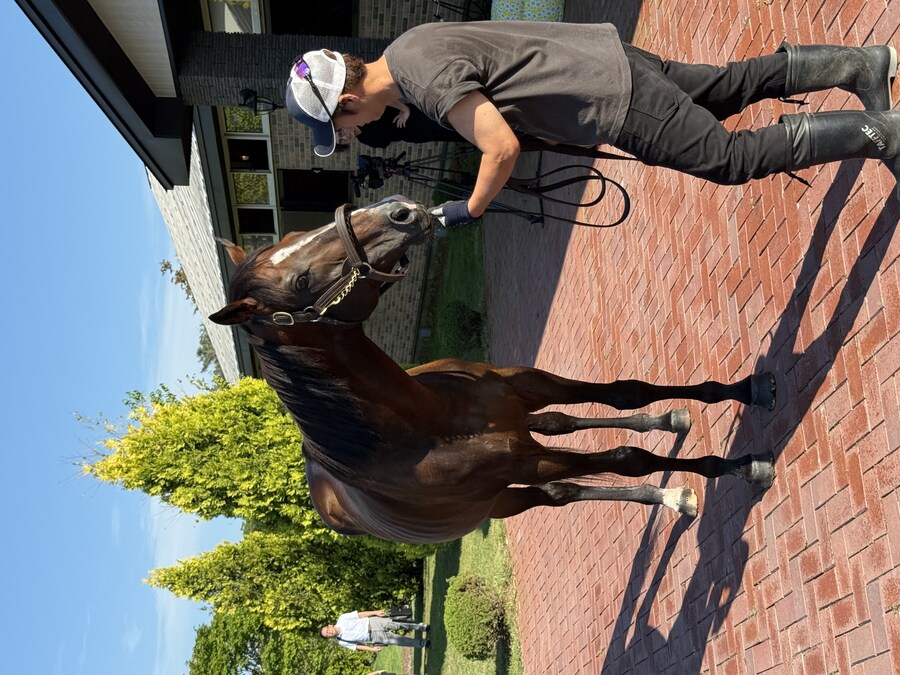 경마) / 말딸) 할무이를 더 가까이에서! 원더 어큐트 그리팅 후기_9.jpg
