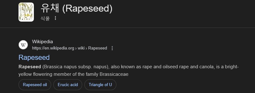 카놀라유의 이름이 카놀라유인 이유_4.png