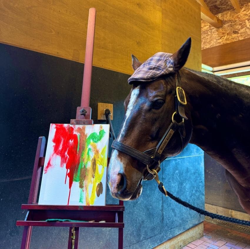 경마) / 말딸) 할무이를 더 가까이에서! 원더 어큐트 그리팅 후기_25.jpg