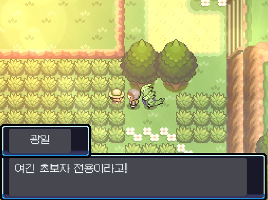 포켓몬 어나더레드) 나도 초보자야 새끼야_1.png