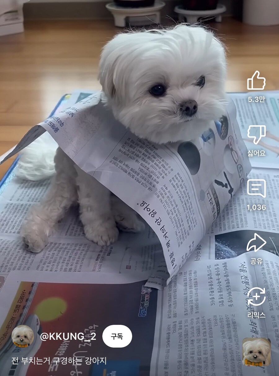 전 부치는 거 구경하는 중_1.jpg